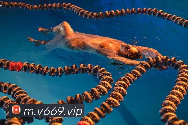 V66体育平台生态图